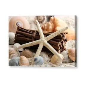 Sand Starfish - Canvas Print